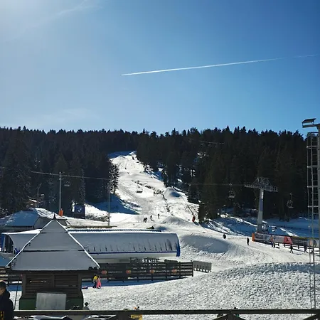 Star Hill - Koznik Konaci Kopaonik